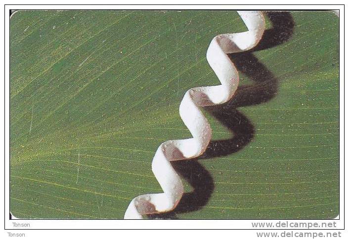 Namibia, NMB-193, A Fresh Start, Telephone Line On Leaf, 2 Scans. - Namibia