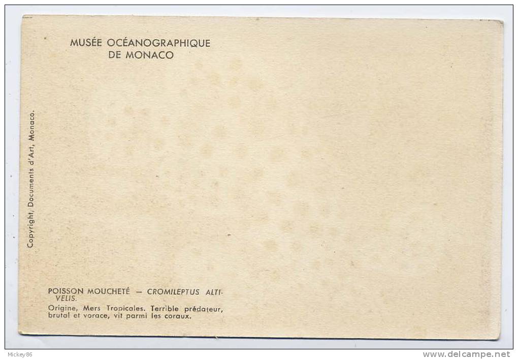 MONACO--Musée Océanographique De Monaco--Poisson Moucheté--signée Illustrateur -pas Très Courante - Musée Océanographique
