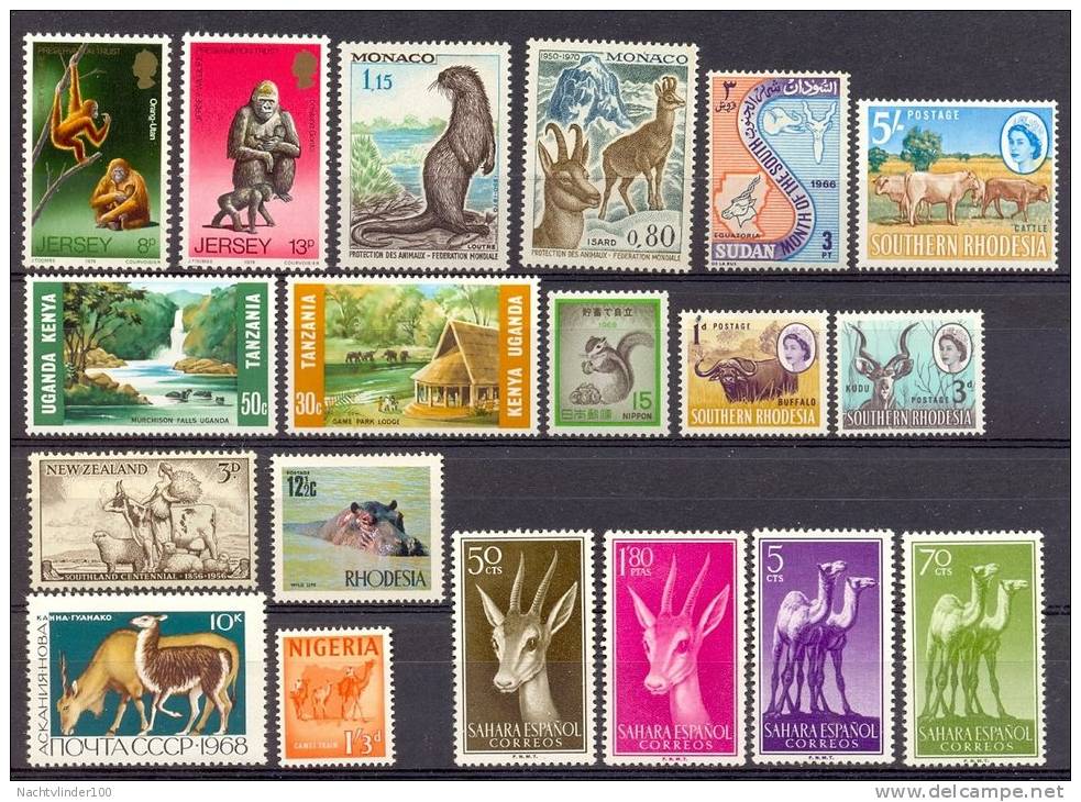 MR736 FAUNA ZOOGDIEREN HOND DOG CAT RHINO SQUIRREL HIPPO COW MONKEY CAMEL DEER HARE WOLF SEAL MAMMALS ASSORTMENT PF/MNH - Gibier