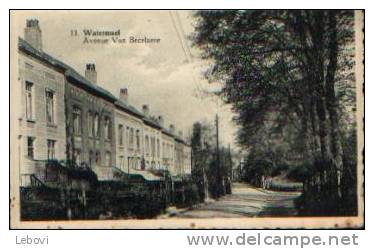 WATERMAEL "Avenue Van Becelaere" - P.B.L. Bxl N° 13 - Watermaal-Bosvoorde - Watermael-Boitsfort