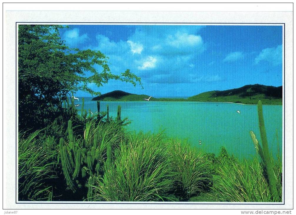 CPM     GRENADINES        ILE DU VENT        ILE DE MUSTIQUE - Grenada