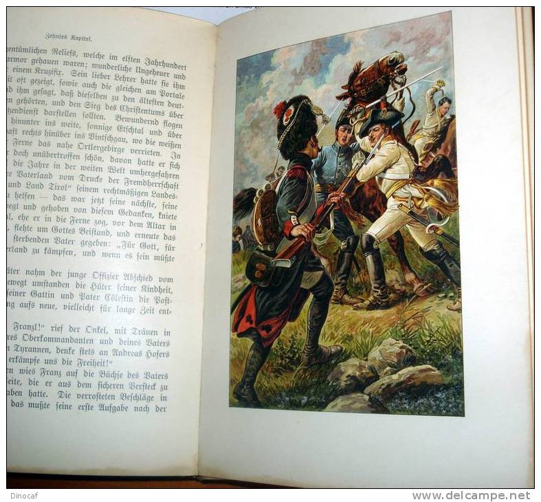 Willigerod, DER HELD VOM SCHILDHOF, 1910, 152 Seiten, Andreas Hofer, Jugend Zur Jahrhundertfeier Des - Libri Vecchi E Da Collezione