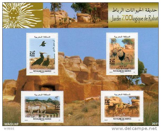 2012  MAROC - Fauna ( Complete Set ) - Autres & Non Classés