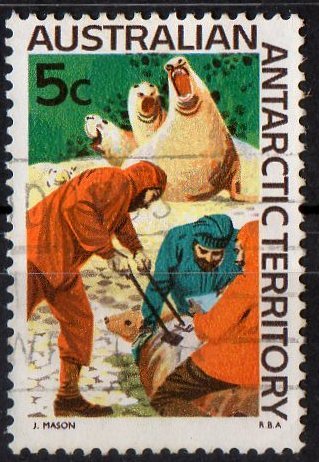 Australian Antarctic 1966 5c Branding Seal Pups Used - Used Stamps