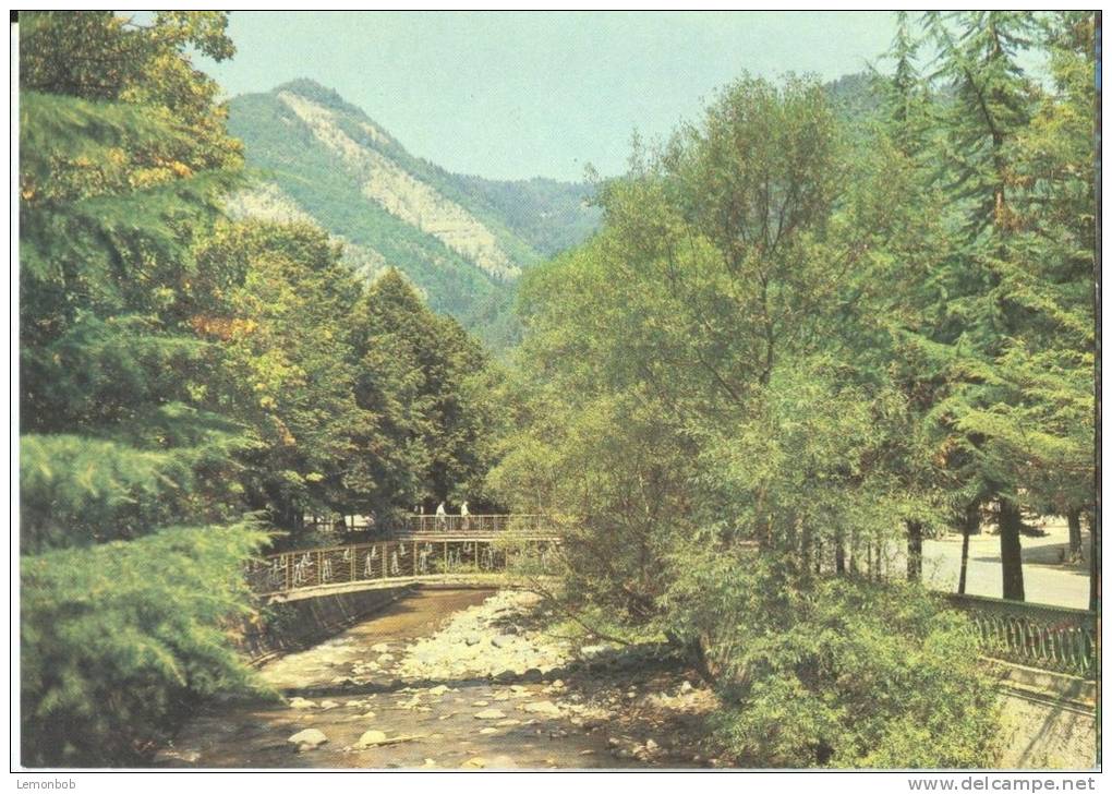 Georgia, Borjomi, 1984 Unused Postcard [11772] - Georgia