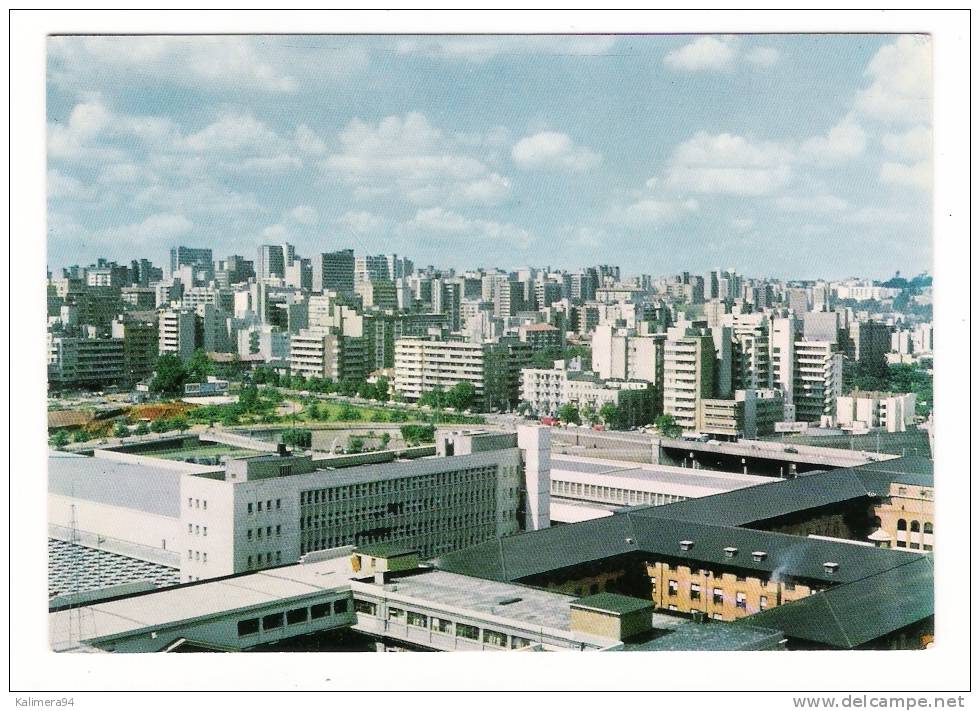 SOUTH AFRICA  /  JOHANNESBURG  /  DENSELY  CROWDED  BUILDINGS  ON  THE  SKYLINE  OF  HILLBROW - Afrique Du Sud