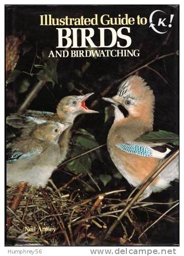 1980 - Neil ARDLEY - Illustrated Guide To Birds And Birdwatching - Fauna