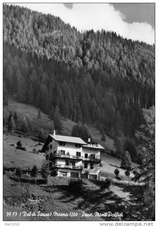 Bellissima Cartolina  Anni  50     "  ( Val Di Fassa) Moena - 1200 - Pens. Monti Pallidi  " - Trento