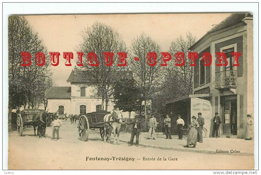 77 - FONTENAY TRESIGNY - Entrée De La Gare - Dos Scané - Fontenay Tresigny