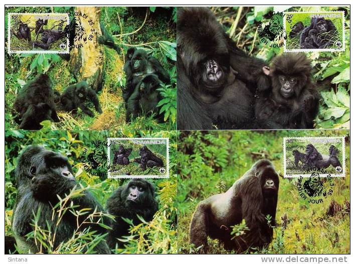 WWF 1985 Ruanda/Rwanda Berggorilla/Mountain Gorilla Set Of 4 Maxicards - Maximum Cards