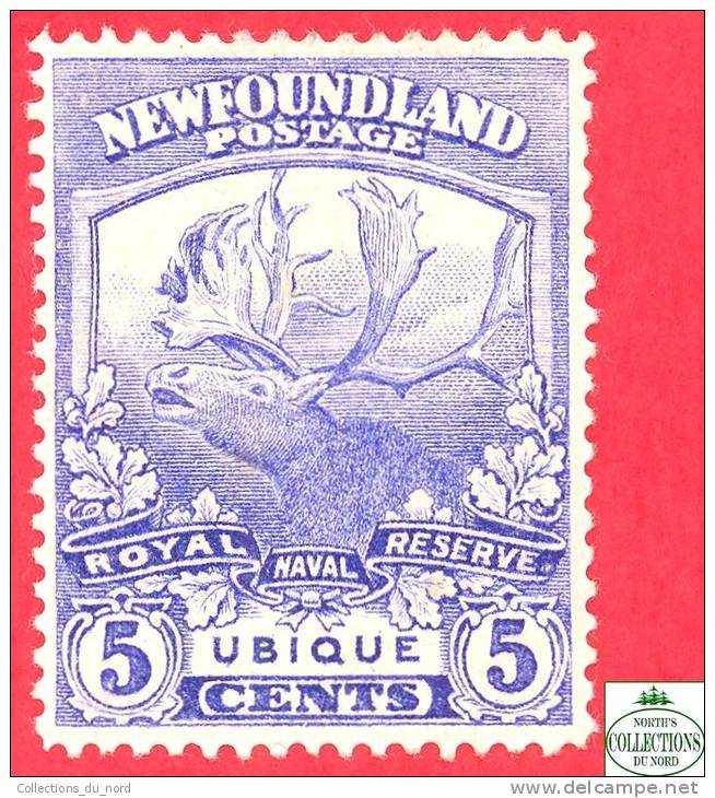 Canada  Newfoundland # 119 Scott /Unisafe - Mint - 5 Cents - Trail Of Caribou - Dated 1919 / Caribou - 1908-1947