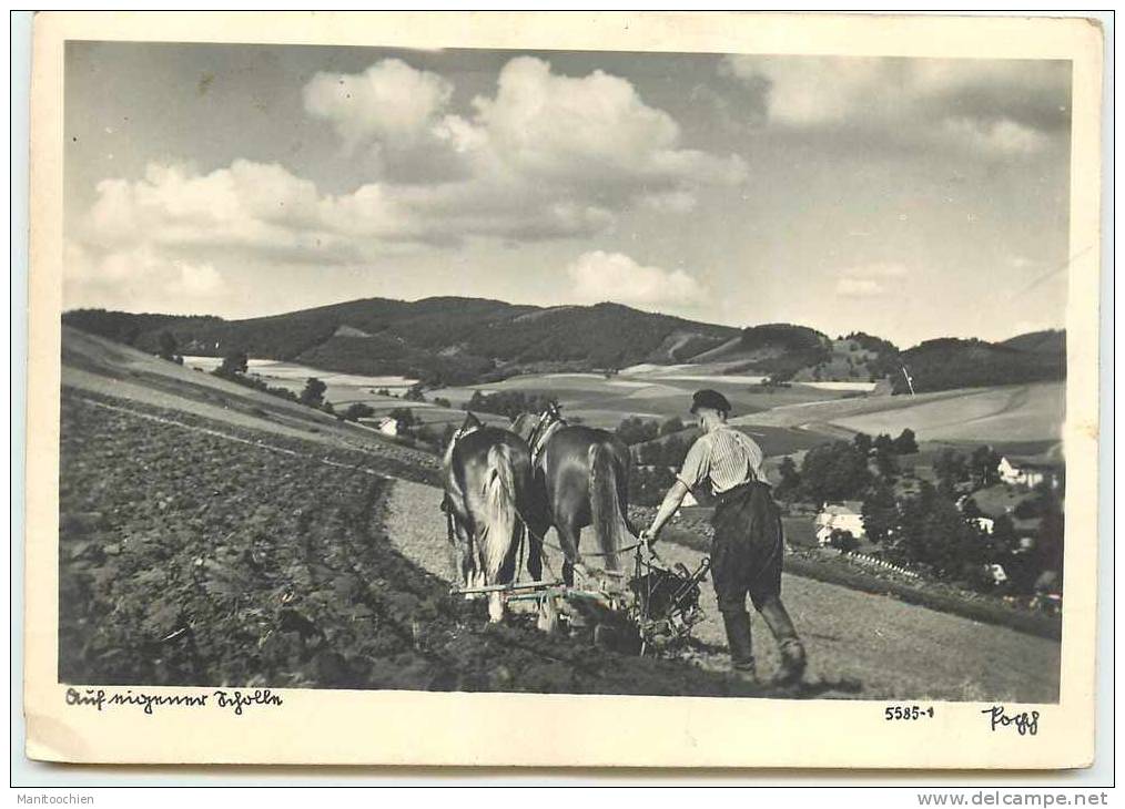 LABOURAGE AVEC CHEVAUX EN ALLEMAGNE - Altri & Non Classificati