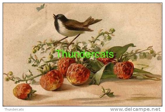 CPA CARTE LITHO FLEURS OISEAUX   ** KOPAL ** LITHO CARD FLOWERS BIRDS - Uccelli