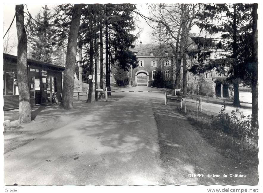 OTEPPE-ENTREE DU CHATEAU-KASTEEL-CARTE VIERGE-EDIT. MAISON DUMOULIN-OTEPPE - Burdinne