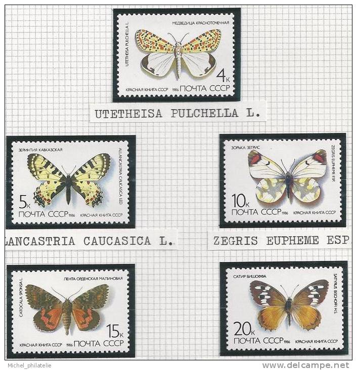 URSS, Papillons - Vlinders