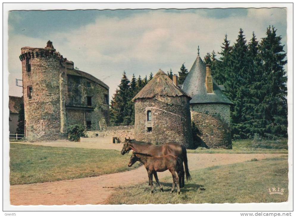 CPSM ENVIRONS DE POMPADOUR, DOMAINE DE LA RIVIERE, CHEVAUX, CORREZE 19 - Arnac Pompadour