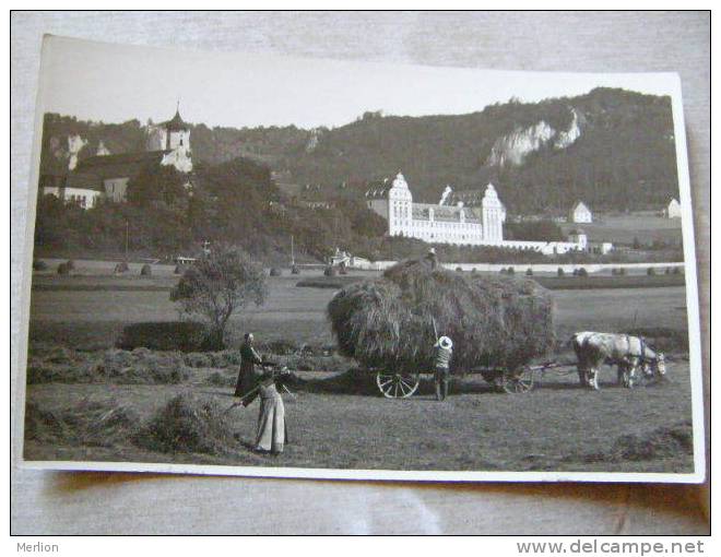 Beuron - Collecting Hay    RPPC  - D81696 - Sigmaringen