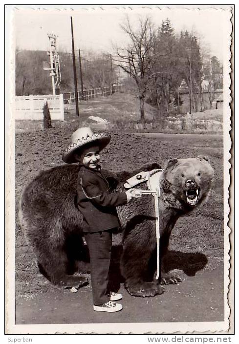 ENFANT Et OURS EMPAILLÉ - PHOTO FORAINE / PHOTOGRAPHE AMBULANT [ DIMENSIONS ~ 6 X 9 Cm ] - ANNÉE ~ 1960 (m-640) - Osos