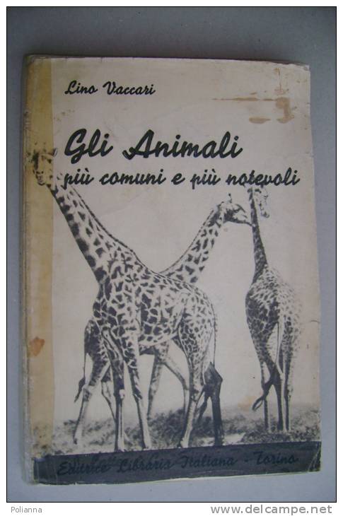 PEX/21 L.Vaccari GLI ANIMALI PIU' COMUNI E PIU' NOTEVOLI Ed.Libraria It.1943/ZOOLOGIA - Pets