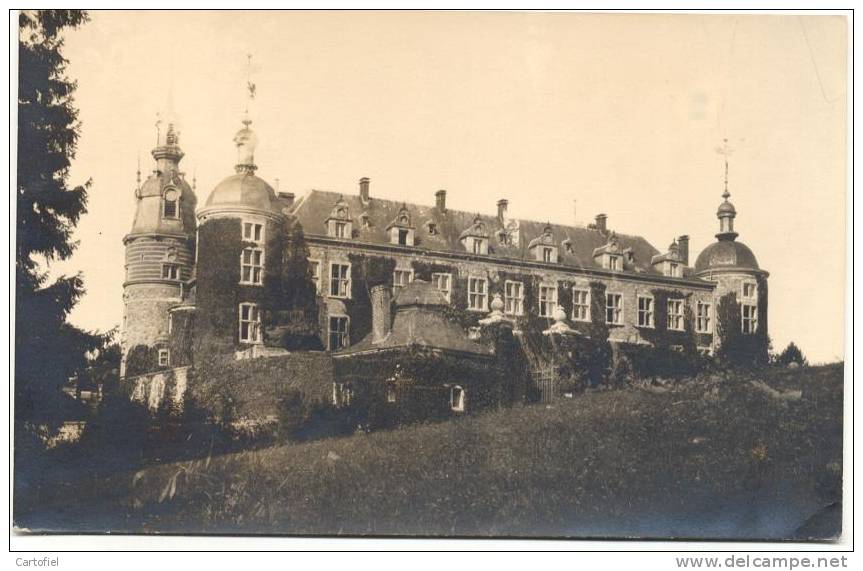 MIRWART-CHATEAU-KASTEEL-CARTE-PHOTO - Saint-Hubert