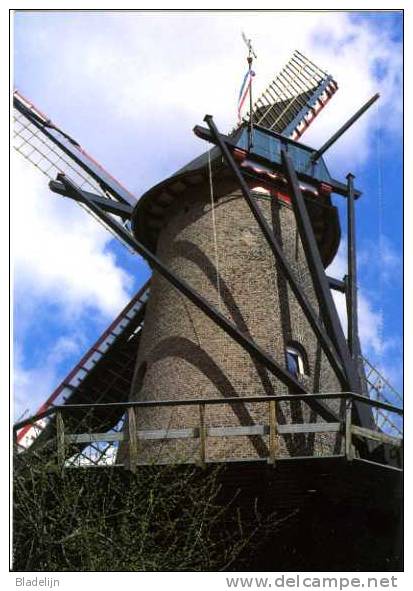 ZEVENBERGEN (N.Br.) - Molen/moulin - Close-up Van Stenen Stellingmolen "Fleur" D.d. 2001 Opgezeild En In Werking - Zevenbergen