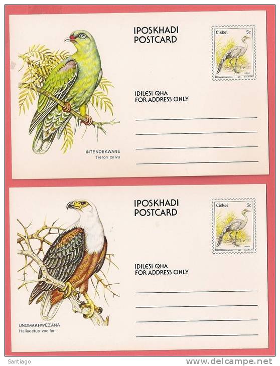 Carte Postale / Briefkaart / Postage Card : Birds - Oiseau - Vogels / Set Of 10 - Reeks Van 10 - Ciskei