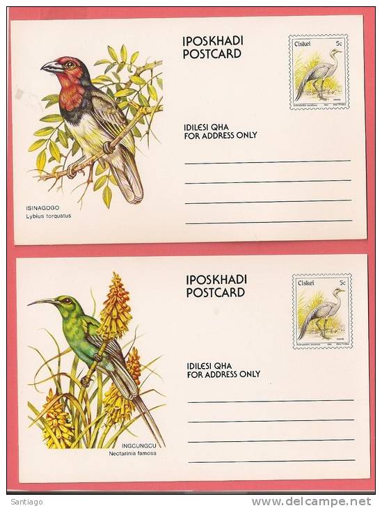 Carte Postale / Briefkaart / Postage Card : Birds - Oiseau - Vogels / Set Of 10 - Reeks Van 10 - Ciskei