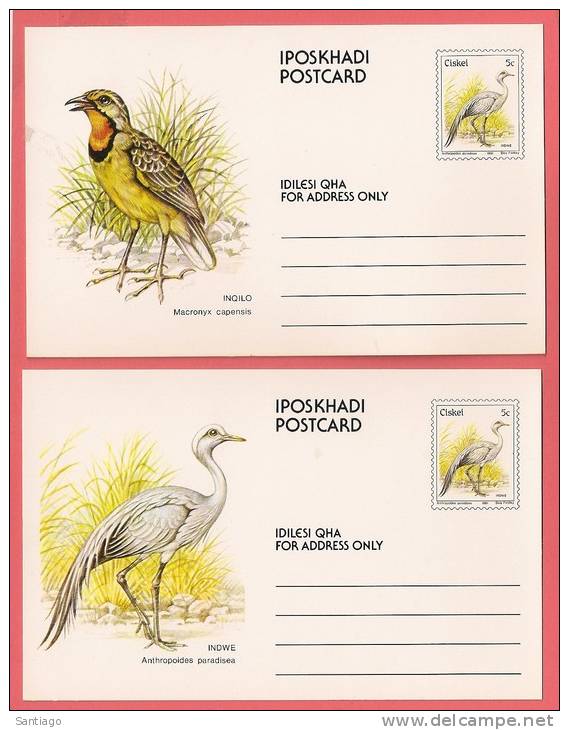 Carte Postale / Briefkaart / Postage Card : Birds - Oiseau - Vogels / Set Of 10 - Reeks Van 10 - Ciskei