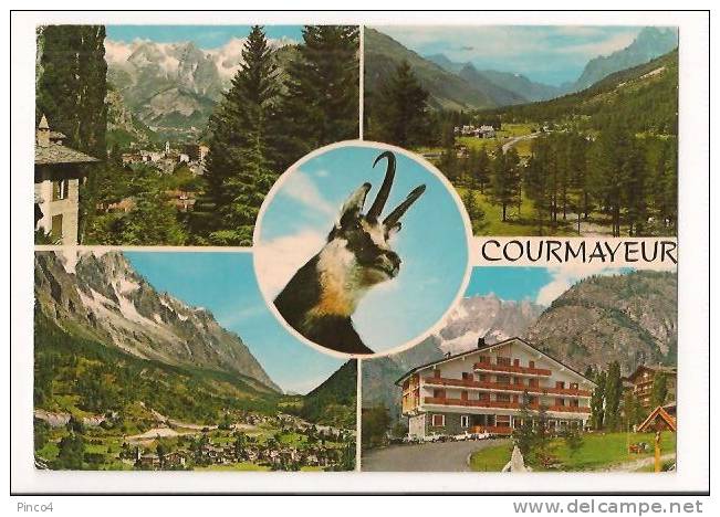 COURMAYEUR VEDUTE CARTOLINA FORMATO GRANDE VIAGGIATA - Altri & Non Classificati