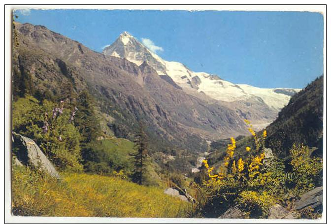 A LA FORCLA. Val D Hérens. Dent Blanche Et Glacier Ferpècle. - Autres & Non Classés