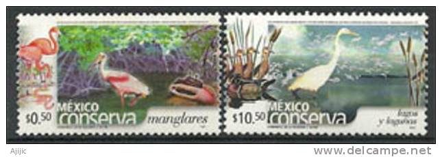 Protection De La Faune Mangrove & Lagunes. (Mexico Conserva) 2 T-p Neufs ** ( These Stamps Are Getting Scarcer Everyday) - Ooievaars