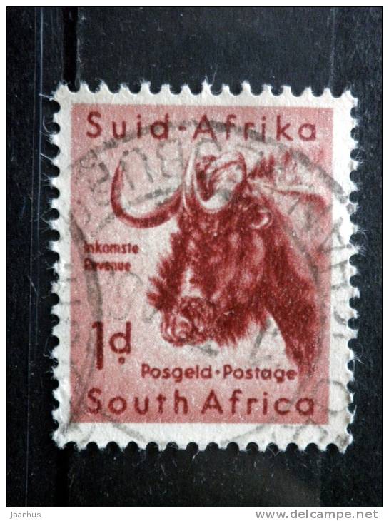 South Africa - 1954 - Mi.nr.240 - Used - South African Wildlife - Black Wildebeest - Connochaetes Gnou - Definitives - Used Stamps