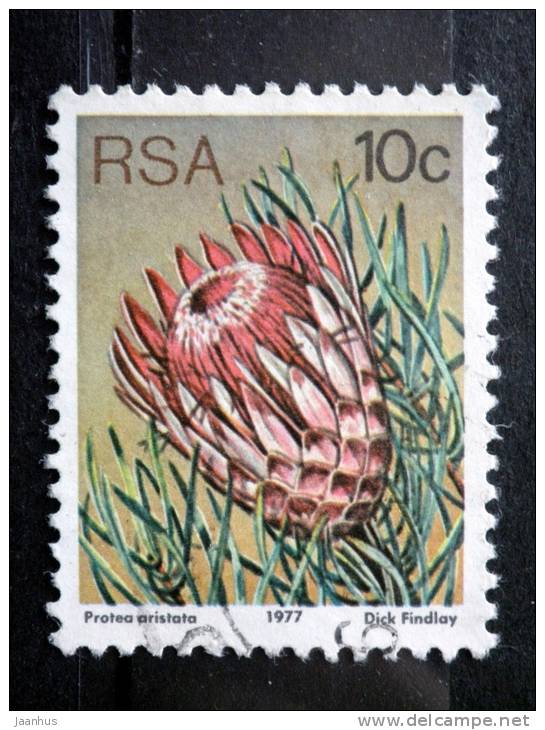 South Africa - 1977 - Mi.nr.521 A - Used - Plants - Protea Aristata - Definitives - Usati