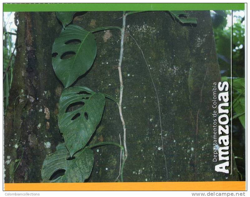 Lote PEP325, Colombia, Postal, Postcard, Amazonas, Amazon, Arbol, Tree - Colombia