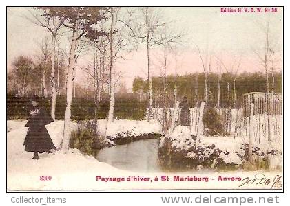 Brasschaat, Paysage D'hiver à St. Mariaburg - Brasschaat