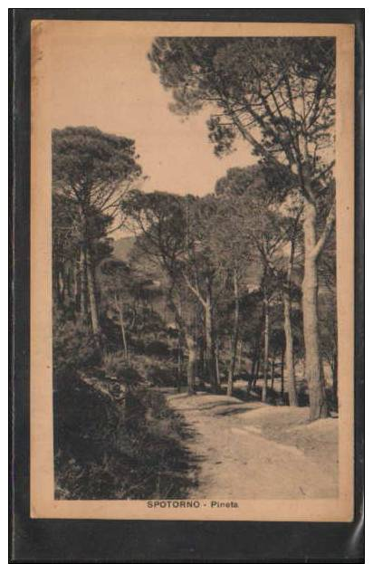 X04197 SPOTORNO PINETA - Savona