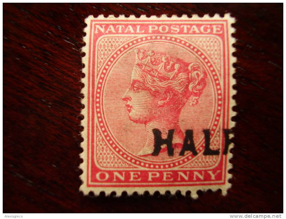 NATAL 1895  ONE PENNY OVERPRINTED HALF MINT HINGED Possibly Variety Very Fresh. - Natal (1857-1909)