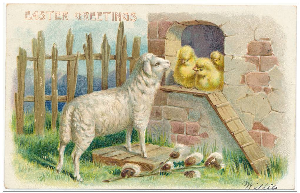 EASTER GREETINGS - Early Tuck Postcard - Lamb And Chicks, Pussywillow, -- UDB, Mailed In 1906 - Pâques