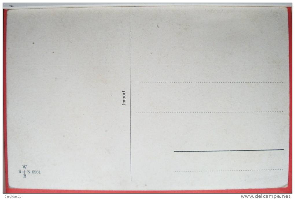 CPA RARE LITHO CHROMO Illustrateur Muller MUELLER WSSB N° 6961 IMPORT Rhinoceros Afrique TOP - Mueller, August - Munich