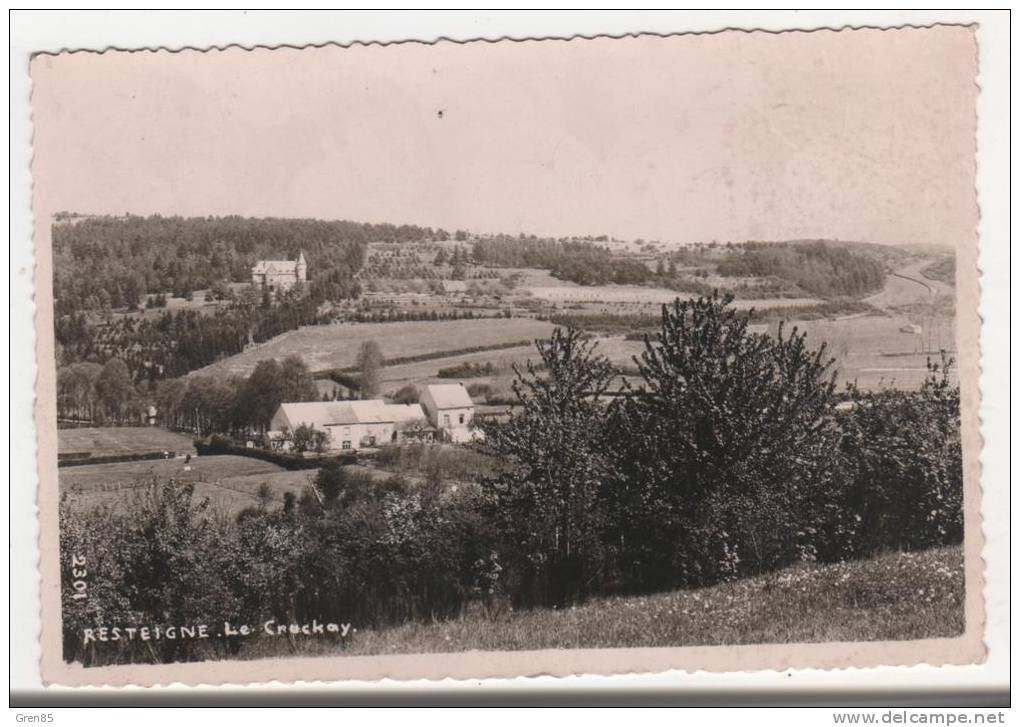 CPSM RESTEIGNE, LE CRUCKAY, COMMUNE DE TELLIN, Format 9 Cm Sur 14 Cm Environ, PROVINCE DU LUXEMBOURG, BELGIQUE - Tellin