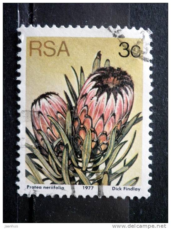 South Africa - 1977 - Mi.nr.514 C - Used - Proteus Plants - Protea Neriifolia - Definitives - Usati