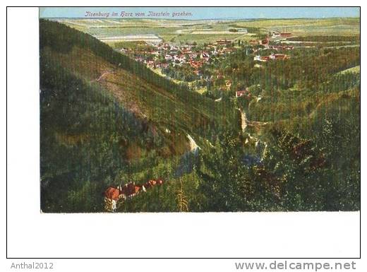 Litho Ilsenburg Harz Vom Ilsenstein Gesehen Wohngebiet Um 1915 - Ilsenburg