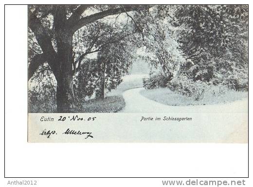 Litho Eutin Partie Im Schlossgarten Bäume 20.11.1905 N Berlin S.W. - Eutin