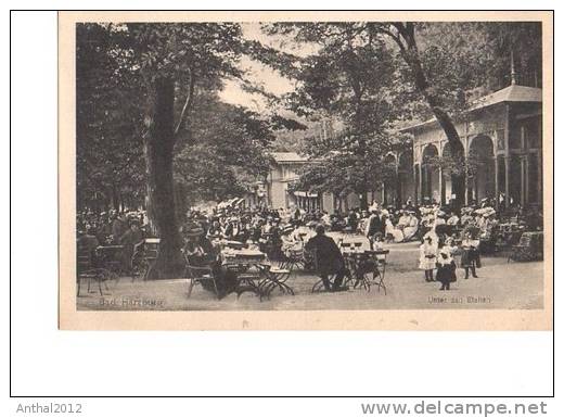 Litho Bad Harzburg Gaststätte Unter Den Eichen Terrasse Voll Besetzt Sw Um 1910 - Bad Harzburg