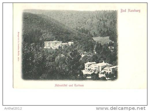 Litho Bad Harzburg Aktien-Hotel Und Kurhaus Sw Um 1910 - Bad Harzburg