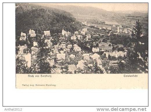 Litho Bad Harzburg Totalansicht Häuser Wohngebiet Sw Um 1910 - Bad Harzburg