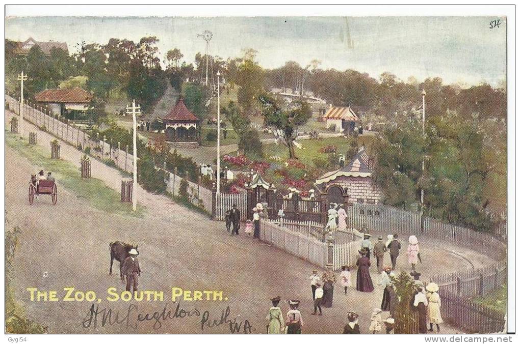Post Card     CPA 1907       The Zoo,South Perth - Perth