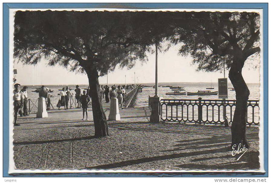 33 - ANDERNOS -- Vue Sur Le Bassin - 1950 - 60 - Andernos-les-Bains