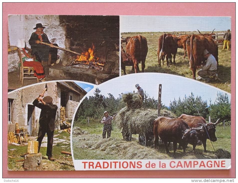 TRADITIONS DE LA CAMPAGNE - Multivues - Otros & Sin Clasificación