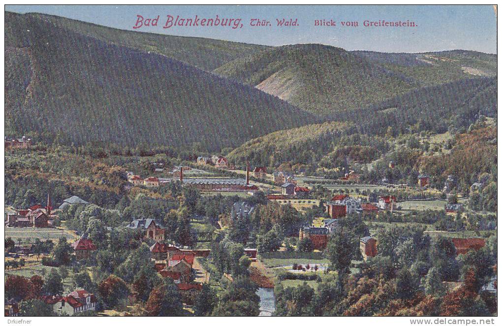 LITHO-AK: Bad Blankenburg, Blick Vom Greifenstein, Um 1910 - Bad Blankenburg